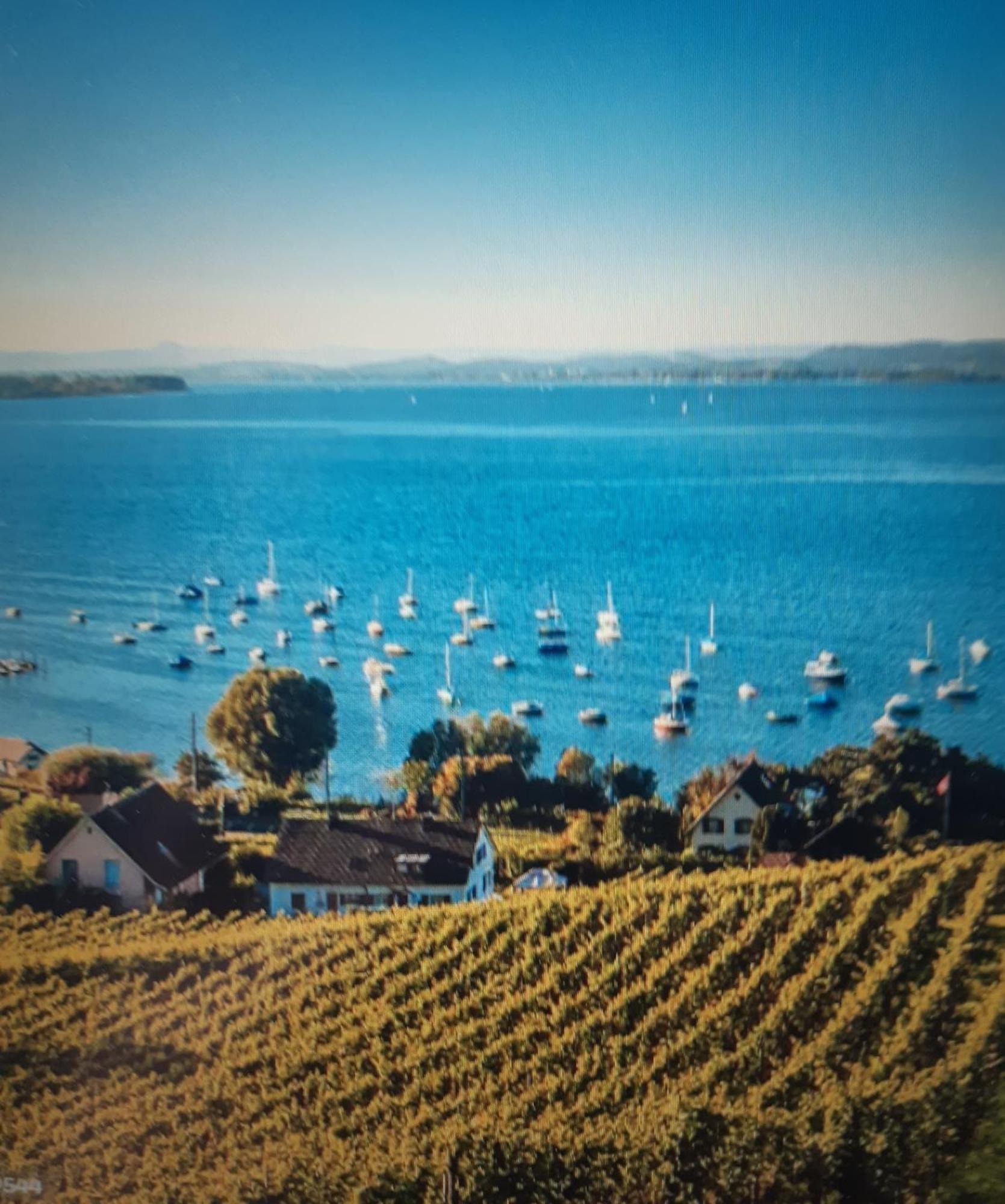 Ferienzentrum Bodensee Oberteuringen ภายนอก รูปภาพ