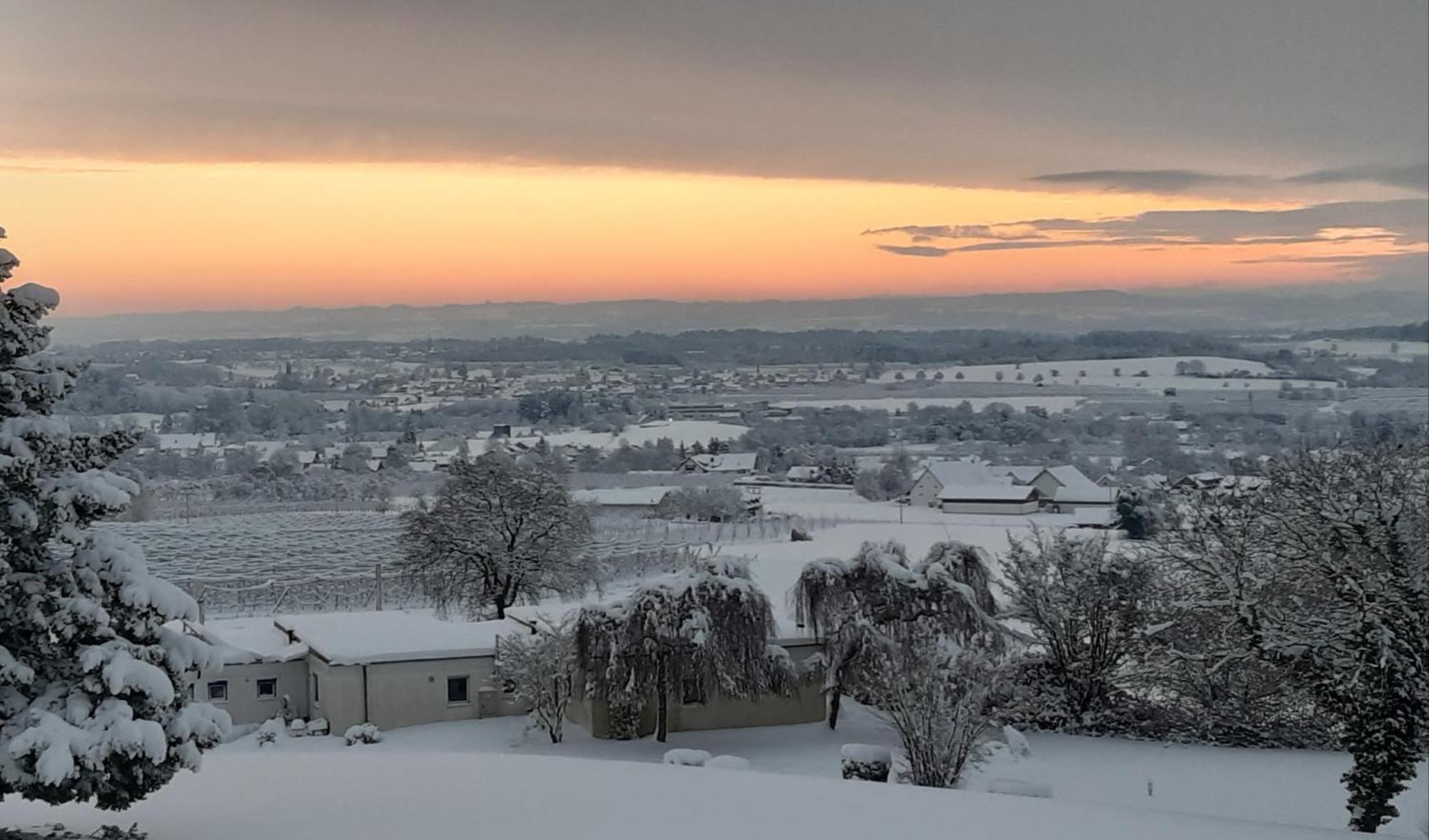 Ferienzentrum Bodensee Oberteuringen ภายนอก รูปภาพ